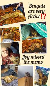 Help Cheryl-Anne get her Alinker #Trans Canada Trail,#PTSD,#Lyme,#Brain  Injury by Cheryl-Anne Pratt