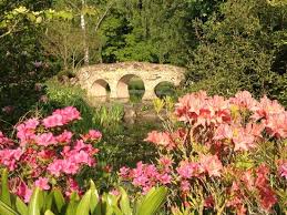 Damit bietet sie sich für den koiteich an. Steinbrucke Im Landschaftspark Eine Von 15 Brucken Und Stegen In Dennenlohe Bild Von Schlosspark Dennenlohe Unterschwaningen Tripadvisor