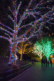Zoolights At The National Zoo Washington Dc Trip Planning Washington Dc Travel Day Trips
