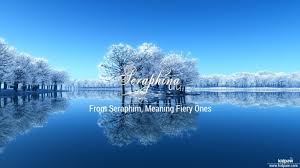 Christian Baby Girl Name Seraphina Meanings Religion Origin Details