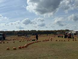 Image result for fat ass pumpkin