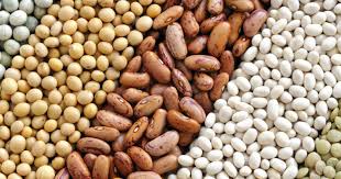 رؤية البيض في المنام من الرؤي الغامضة الغير مفهومة حيث أن له ألوان وأنواع عديدة ولكل شيء تفسير منفصل ولكن العلماء استطاعوا تفسيره على جميع حالاته، ويتضح ذلك بالإطلاع على هذا المقال. ØªÙØ³ÙŠØ± Ø­Ù„Ù… Ø±Ø¤ÙŠØ© Ø§Ù„Ù„ÙˆØ¨ÙŠØ§ Ø§Ù„Ø®Ø¶Ø±Ø§Ø¡ ÙÙŠ Ø§Ù„Ù…Ù†Ø§Ù… Ù„Ø§Ø¨Ù† Ø³ÙŠØ±ÙŠÙ† ÙˆØ§Ù„Ù†Ø§Ø¨Ù„Ø³ÙŠ