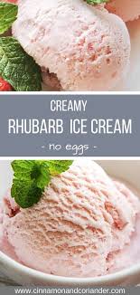 Divine Rhubarb Ice Cream Aka How To Make The Creamiest Homemade Ice Cream Healthy Ice Cream Recipes Easy Ice Cream Recipe Ice Cream Recipes
