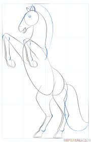 How to draw a horse drawing equestrian, horse, horse, animals, mare png. Pin On Art
