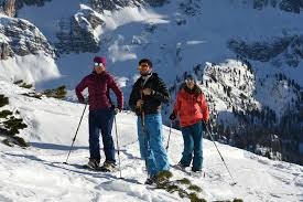 Al mattino perlopiù assenti (10%), salvo qualche goccia, assieme a fiocchi di neve sopra i 1400/1500 m sulle dolomiti. Da Mandres A Fraina Snow Service Cortina