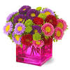 This can be the hardest part of sending flowers to a friend or loved one. Https Encrypted Tbn0 Gstatic Com Images Q Tbn And9gcsovjuhkux2z03huxm1r5xlhnayntegozceqf0ocbc Usqp Cau