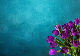 Vizima vertraulich, anatomie des verbrechens, verdächtiger: Tulpen Hintergrund Strauss Lila Postkarte Blumen Muster Kopieren Sie Platz Gruss Geburtstag Feierlich Pikist