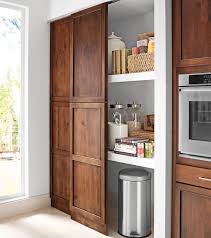 Read This Before You Put In A Pantry Pantry Design Pantry Cabinet Kitchen Style