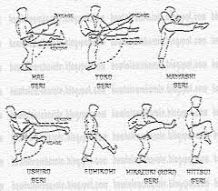 Once you are warmed up, you need to make sure that you understand the basic stances. Read Pdf Teach Yourself Karate
