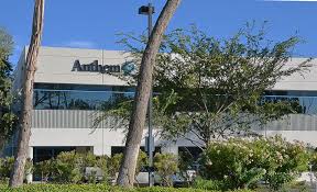 To reach any number listed here, start by dialing 711. Anthem Faq Answers To Common Questions For Bcbsm And Bcn Members Mibluesperspectives