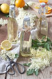 Holunderblutensirup Holundersirup Rezept Sweets Lifestyle Rezept Holundersirup Rezept Holunderblutensirup Rezept Holundersirup