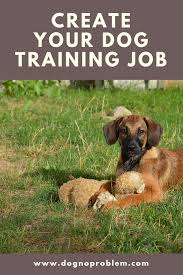 Lp 4 Free Dog Training Videos 2 Blu Dog No Problem Dog Training Become A Dog Trainer Dog Training Videos