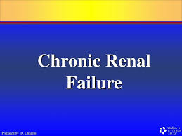Thilak jayalath senior lecturer in medicine faculty of medicine peradeniya 2. Ppt Chronic Renal Failure Powerpoint Presentation Free Download Id 1273256
