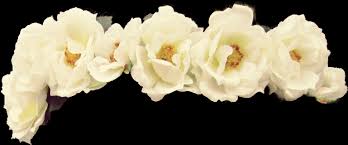Download Hd White Flower Crown Png Flowers Healthy Yellow Flower Crown Transparent Transparent Png Image Nicepng Com Polish your personal project or design with these flower crown transparent png images, make it even more personalized and more attractive.