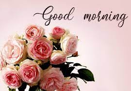 Love good morning flowers hd. Download Best Good Morning Roses Pictures Images Good Morning