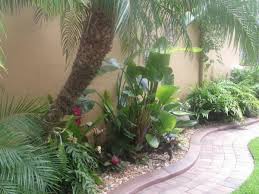 Garten terrasse/kübel wohnraum herkunft/klimazone mediterran mitteleuropäisch steppe/halbwüste tropisch. Mit Der Richtigen Palme Im Garten Tropische Stimmung Schaffen