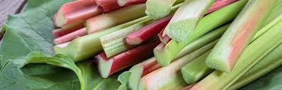 We did not find results for: Rhubarb Metro