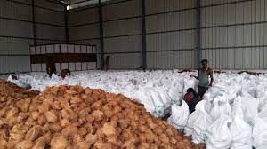 Packing and Loading | The Coconut Grower