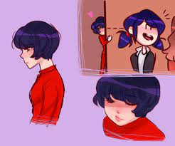 Sidsinning Miraculous Ladybug Fanfiction Miraculous Ladybug Comic Miraculous Ladybug Memes