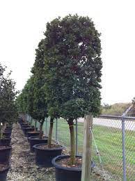 Pin On Around The Nursery