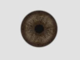Iris Brown Texture Jpg 1000 750 Eye Texture Iris Iris Eye