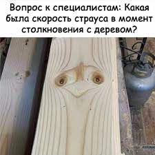 pin ot polzovatelya yura homa na doske sarkazm yumor rzhaka v 2020 g smeshnye memy veselye memy smeshnye shutki