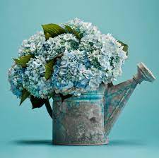 4.6 out of 5 stars. Our Favorite Hydrangea Arrangements Flower Magazine