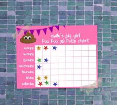 Potty Training Chart Diy