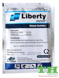 Liberty 100WP