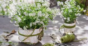 Der waldmeister blüht und verströmt seinen duft! Waldmeister Deko Ideen Zum Nachmachen Mein Schoner Garten