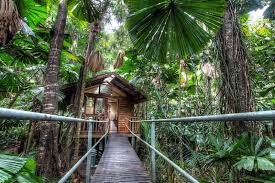 What Is An Eco Lodge The Top 20 Eco Resorts Eco Hotels In 2020 Daintree Rainforest Wilderness Lodge Eco Hotel