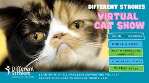Search by rates, reviews, experience, and more for the best cat and kitten care in your area! Virtual Cat Show Different Strokes