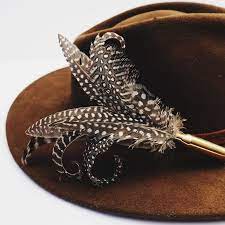 Pin By Hamid On پر Feather Fashion Feather Feather Hat