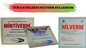 Kuslarda Ic Parazit Youtube