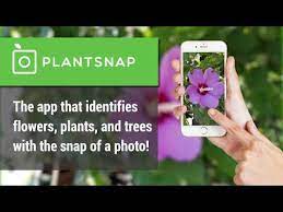 Snap android plant identification app. Plantsnap Pro Identify Plants Flowers Trees 2 00 11 Apk Apk Android Free