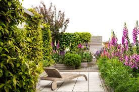 Adolfo Harrison Gardens The List House Garden Luxury Garden Small Gardens Small Garden Design