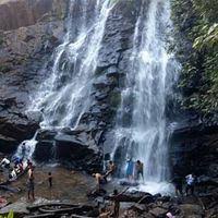 River shimsha, 11.5 km (7.1 mi) from halaguru on hn 209 suthanabbe falls or hanumanagundi falls: Sirimane Falls Sringeri Local Business Sringeri