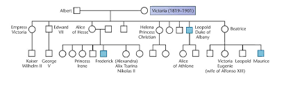 Haemophilia Pedigree Chart Royal Family Bedowntowndaytona Com