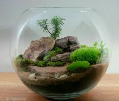 Mahmut Kirnik 1321 Mini Garden Miniature Garden Garden Terrarium