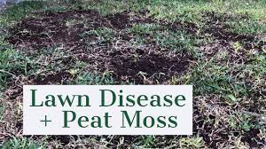 Fungus And Peat Moss 2nd Milo App Of 2019 Youtube Peat Moss Peat Lawn Work