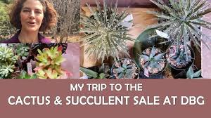 More on soil mix for cacti and succulents here. My Trip To The Cactus And Succulent Sale At Dbg Youtube