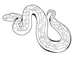 Animal coloring pages printable coloring pages for kids dogs, cats, bunnies, horses, dinosaurs and more animal coloring pictures and sheets to color. Zoo Animals Coloring Pages Best Coloring Pages For Kids