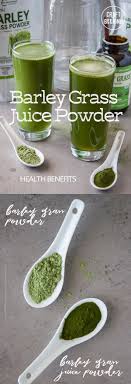 barley grass juice powder barley grass barley benefits barley