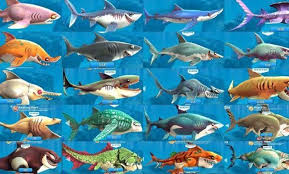 Hungry Shark World New Sharks In 2020 New Shark Shark New World