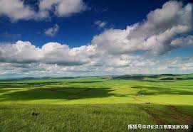 内蒙古呼伦贝尔有什么好玩的地方？_草原