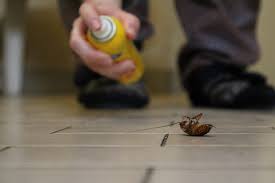 We have never needed pest control in the past and we randomly called fox. When To Call The Exterminator For Roach Control Services Worldwide