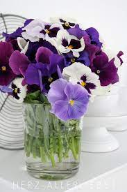 Stiefmutterchen Pansies Flowers Beautiful Flower Arrangements Beautiful Flowers