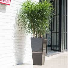 Ella planters, with their squared contour, bring a modish new twist to the artstone line. Self Watering Garden Square Plastic Flower Pot Liners Buy Supplier Home Pot Plastic Flower Pot Liners Large Plastic Pot Product On Alibaba Com
