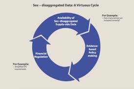 Gender Policy And Financial Inclusion Cgap