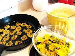 Dandelion Fritters Vegetarisch